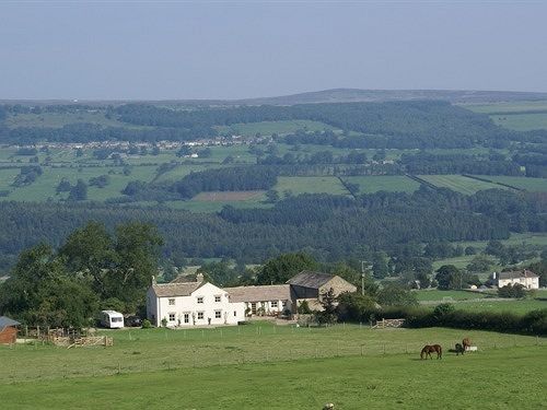 Capple Bank Farm Panzió Wensley Kültér fotó